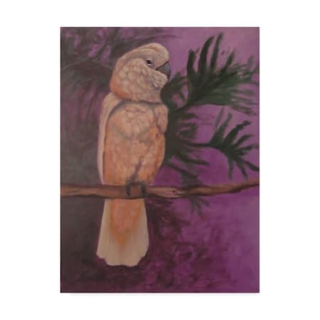 Rusty Frentner 'Cockatoo' Canvas Art,14x19